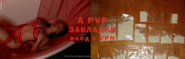 стаф Беломорск