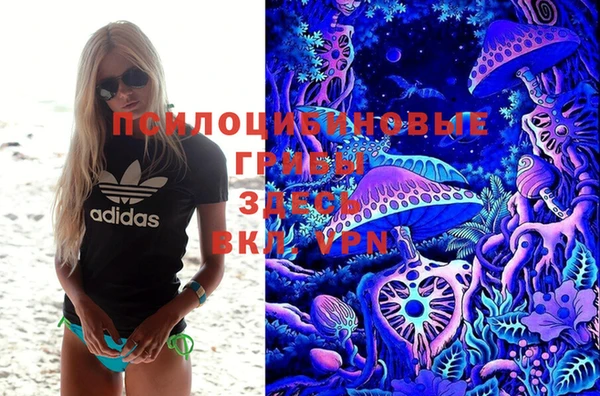 ECSTASY Белокуриха