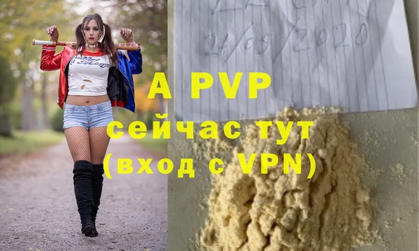 ECSTASY Белокуриха