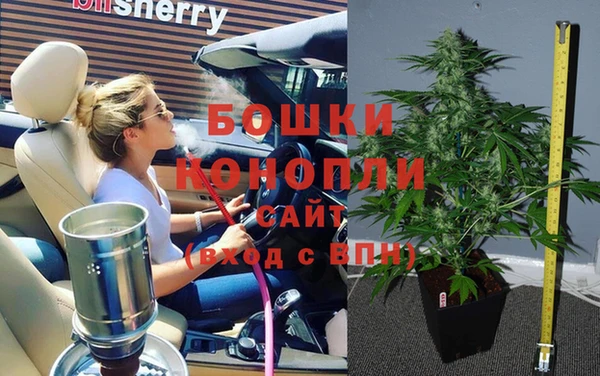 ECSTASY Белокуриха