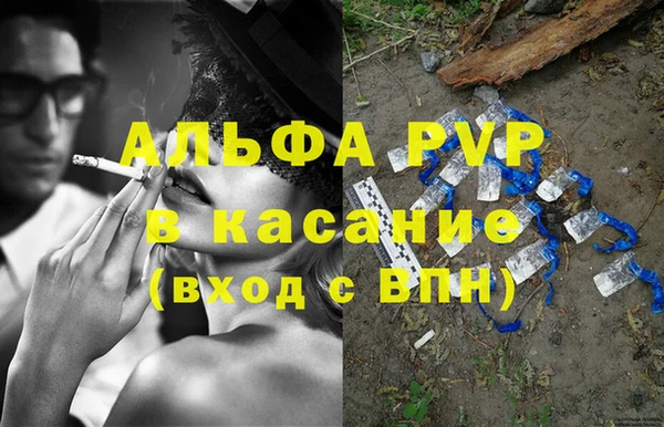 стаф Беломорск
