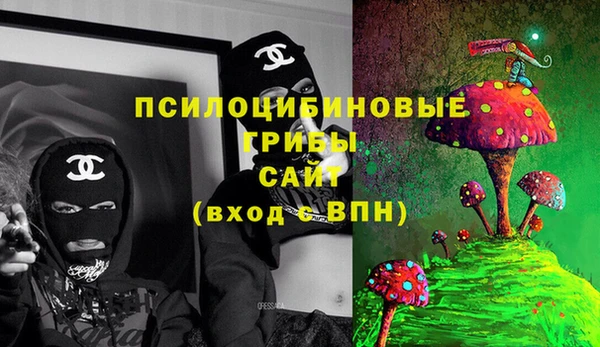 ECSTASY Белокуриха