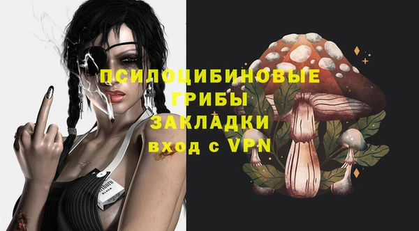 стаф Беломорск