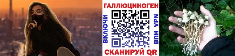 Галлюциногенные грибы ЛСД гидра ТОР Велиж